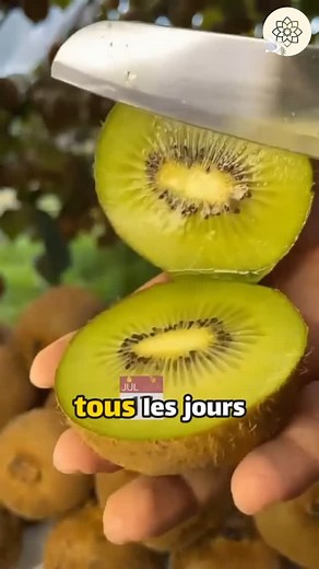 Remède Santé on Instagram: "Les incroyables effets des kiwis sur votre corps en 2 semaines #kiwi #santé #beauté #sommeil #digestion #superaliment"