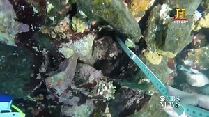 Shipwreck may be Santa Maria