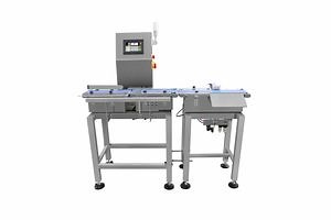 High Accuracy Automatic Weighing Scale Checkweigher Machine for Food Snack