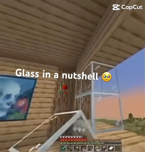 Glass in a nutshell 🥹🥀 #viral #minecraftmemes #trending #nobatidao