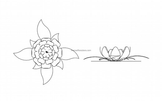 Lotus Flower - Free CAD Drawings