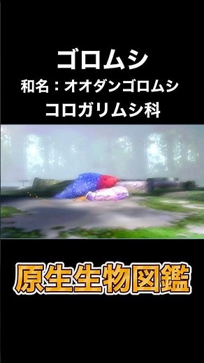 【ピクミン】原生生物図鑑 #79 『ゴロムシ』どんな思い出がありますか？