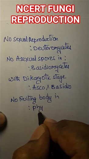 NCERT FUNGI REPRODUCTION DETAILS