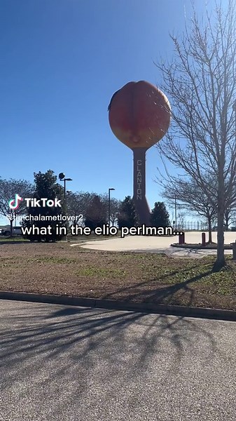 never forget the peach scene #timotheechalamet #timothee #chalamet #cmbyn #elioperlman #callmebyyourname #fyp