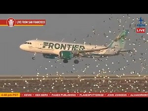 LIVE Plane Spotting at San Francisco International Airport (SFO)