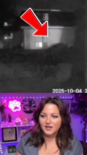 Real DOGMAN Footage or Something Worse? #cryptid #scary #mysterious