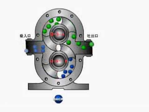 Functional Principle of a Rotary Piston Pump