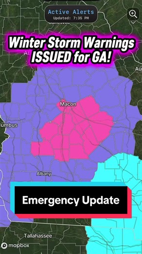 ⚠️ BREAKING: WINTER STORM WARNINGS ISSUED FOR GA AS 1 to 3 INCHES OF SNOW IS SET TO FALL TOMORROW! ❄️ This will cause HAVOC on the roads as GA does NOT have the capacity to clear snow or salt snow on the roads. MAJOR travel impacts are expected. Be prepared to stay at home for tomorrow and reconsider travel plans in the region! #Atlanta #GA #Winterstorm #Alert #Snow