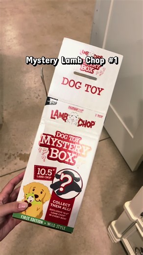 I was hoping for a cute lamb chop… we got the neon green frog 😭🐸😂 Let’s hope #2 is an improvement. #MysteryLambChop #LambChopToy #DogToy #DogTikTok
