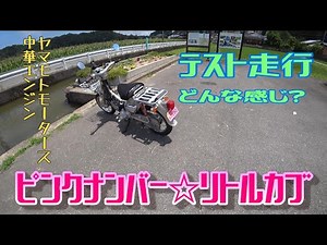 Little Cub 110cc test run. Yamamoto Motors' 110cc Chinese engine