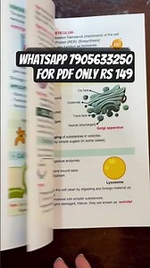 1o clock book class 9 pdf.