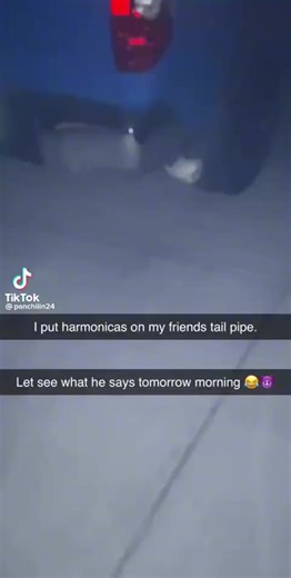 Michelle (@byteme368)’s videos with original sound - Michelle