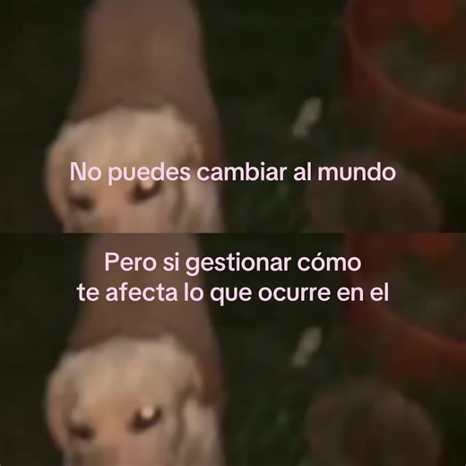 Gestiona tu mundo: cómo afrontar lo que sucede