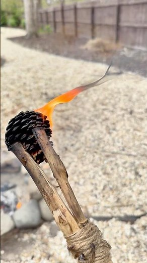 Making a Pine Pitch Torch from Scratch 🔥 #bushcraft #primitive #satisfying #bushcraftasmr #asmr