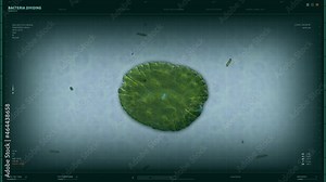 Cell Division Process Under Microscopic Study By Biology Professor. Scientific Software For Close Up View Of Biological Cell Division Process. Biological Research Of Cell Division. Microbiology