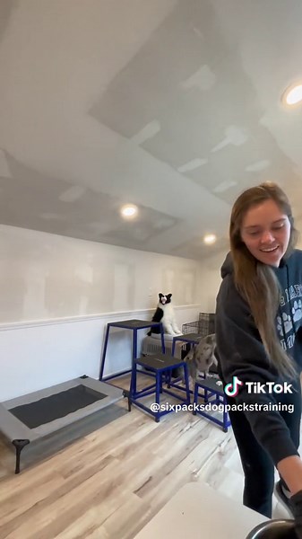 Morning Routine with Adoptable Client Jay | Board & Train Dog Training