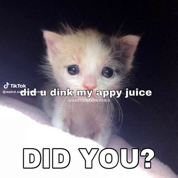 Video di weird side of internet (@weird.side.of.internet2) con sextape - ⠀ ⠀ ⠀ ⠀ ⠀ ⠀