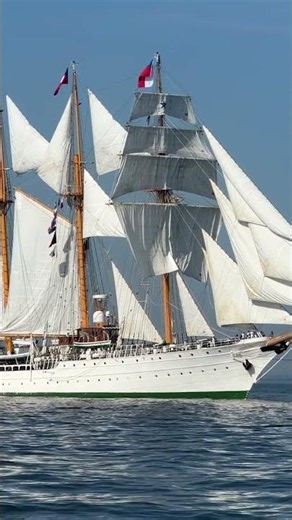 Fourth of July Festivities Set Sail With Tall Ships Parade in New York Harbor #shorts
