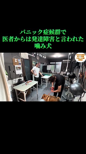 パニック症候群と発達障害