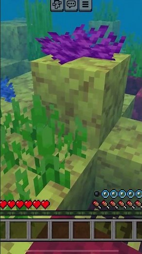 Minecraft Coral Reef = PURE VIBES 🐟