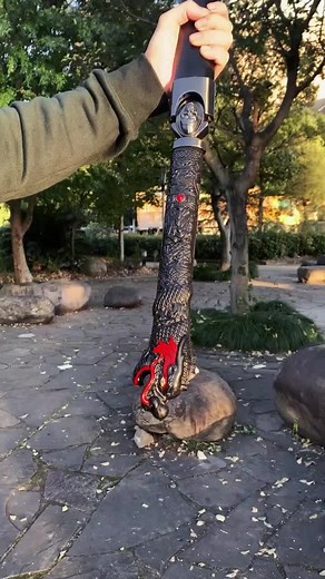 swordculture on TikTok