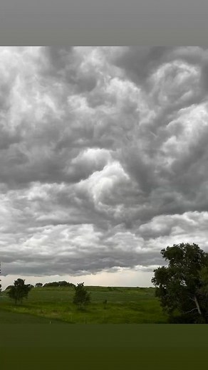 Angel Hollow Acres Logan, Iowa | Terri Lyn Harper-Ronk