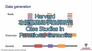 Harvard《功能基因组学案例研究》（中英字幕）| Case Studies in Functional Genomics