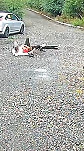 Electric scooters are ILLEGAL?! | Mark McCann 64