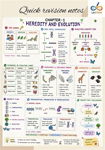 10th std |Science2 | Chp. Heridity and Evolution |