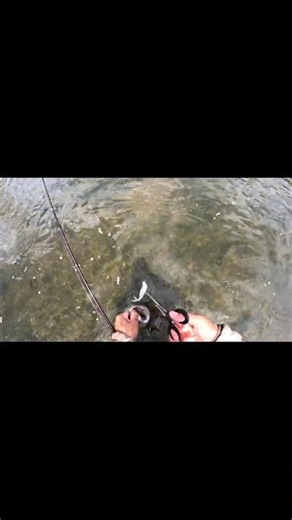 This Fishing Lure is Insane and CHEAP!