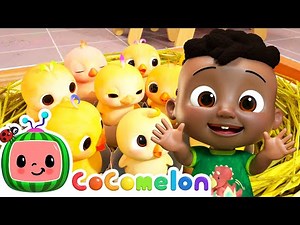 Numbers Song with Little Chicks | CoComelon Furry Friends | Animals for Kids