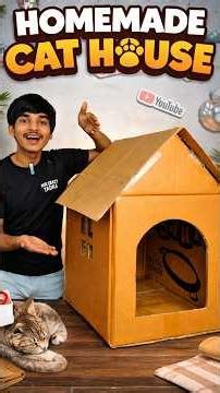 🏠homemade cat🐈house || #shorts #house #cat #trending #viral