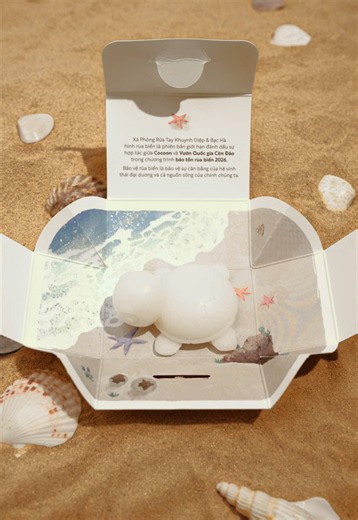 Để “Rùa con Cocoon” chăm sóc đôi tay bạn luôn sạch thơm 🐢🌊 Xà Phòng Rửa Tay Khuynh Diệp & Bạc Hà