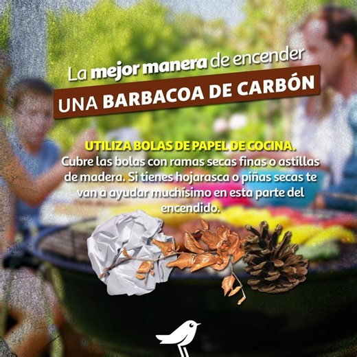 2.1K views · 35 reactions | ¿Te apetece una barbacoa 肋數 con amigos y familia pero no sabes cómo encenderla ? ¡No te preocupes ✌️!  Preparar una deliciosa 襤 barbacoa con carbón es muy fácil si sigues estos simples pasos  #Barbacoa #Pasos #Encender #Carbón | Alcampo | Facebook