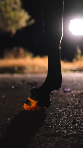 3K views · 214 reactions | This Halloween, light up the night with...