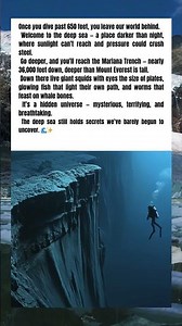 The Deep Sea Is Darker and Stranger Than You Can Imagine 🌊🦑