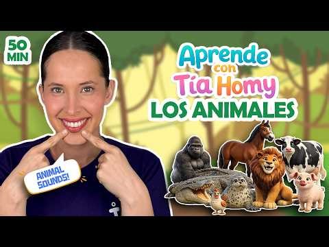 Learn with Aunt Homy – Animals for Children | Sounds and Movement | Baby Learns Spanish
