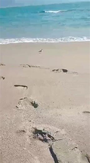 Las caídas no te definen, sino la fuerza con que te levantas 🥰￼