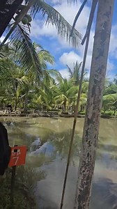 Si Pilimon si Pilimon #MountainMan | Doc Mark Macias