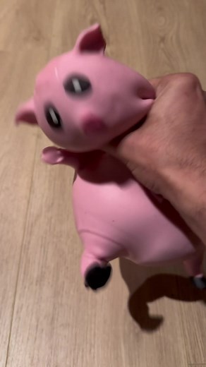 Did piggy deserve this?🐽