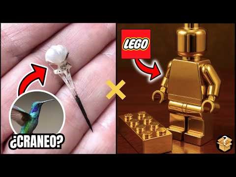 10 Datos Random Que NO Sabias Hace 5 Minutos 🧠🤯 #curiosidades