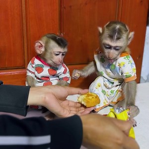 122K views · 7.7K reactions | Amazing Eating .... | Tom & Jerry Family | Facebook