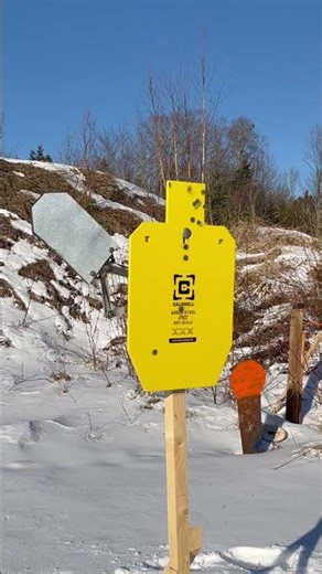 Hostage Rescue Target Drill with Live Fire – Dynamic Range X1