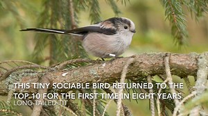 More than half a million people across the UK took part in the RSPB Birdwatch Count in January - it registered more than 8.2 million birds. Hear how the mild winter is affecting wildlife in Northamptonshire on the Breakfast Show with Helen Blaby. | BBC Northamptonshire