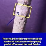 Artificial Mahonia Fortunei Tree 6ft,Tall Fake Plant Artificial Sumac Tree, Faux Plants Indoor Fake Plants Decor with Pots for Home Office Bathroom Bedroom Living Room Decorations Housewarming