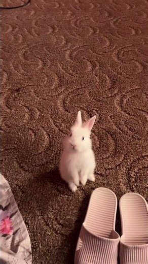 I really mean what I say 🤍🫶