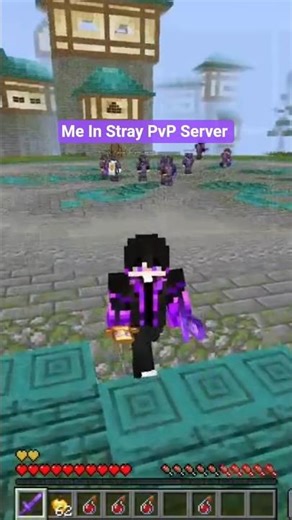 StrayPvP Server 💀