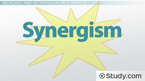 Drug Interactions With Other Drugs & Activity Within the Body - Video | Study.com