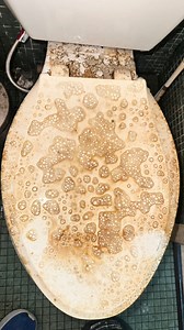 412K views · 2.2K reactions |  Toilet Deep Clean Scene! A Degreaser Spray Clean before the disinfectant stage but that’s the boring part here I’m showing in real life cleaning using a degreaser to break down the dust dirt and nicotine smoke and there’s many ways to do it! Hey Thanks for stopping by for a few it’s greatly appreciated 﫧 | Super Swift Cleaners | Facebook