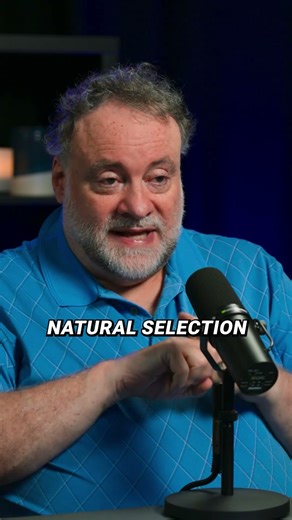 Did natural selection exist at creation?